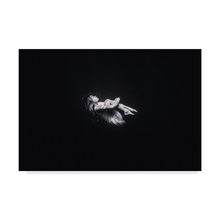 Trademark Fine Art Arti Firsov 'In The Abyss' Canvas Art, 12x19 1X06006-C1219GG